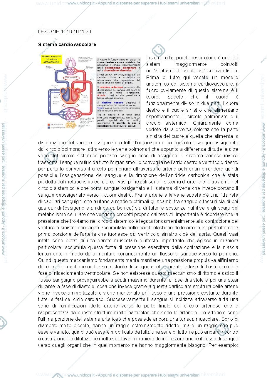 Anteprima pagina 1 — appunti fisio