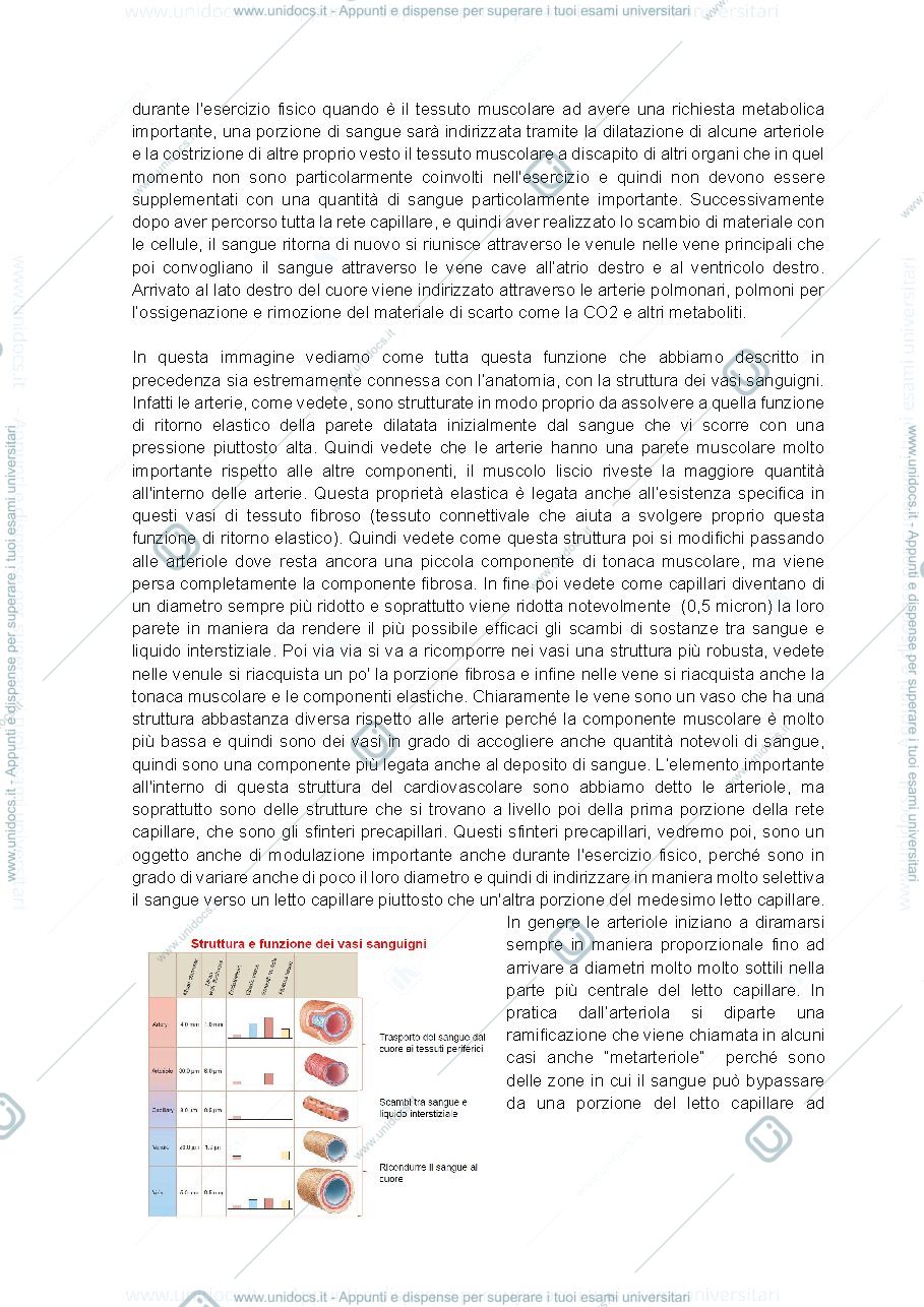 Anteprima pagina 2 — appunti fisio
