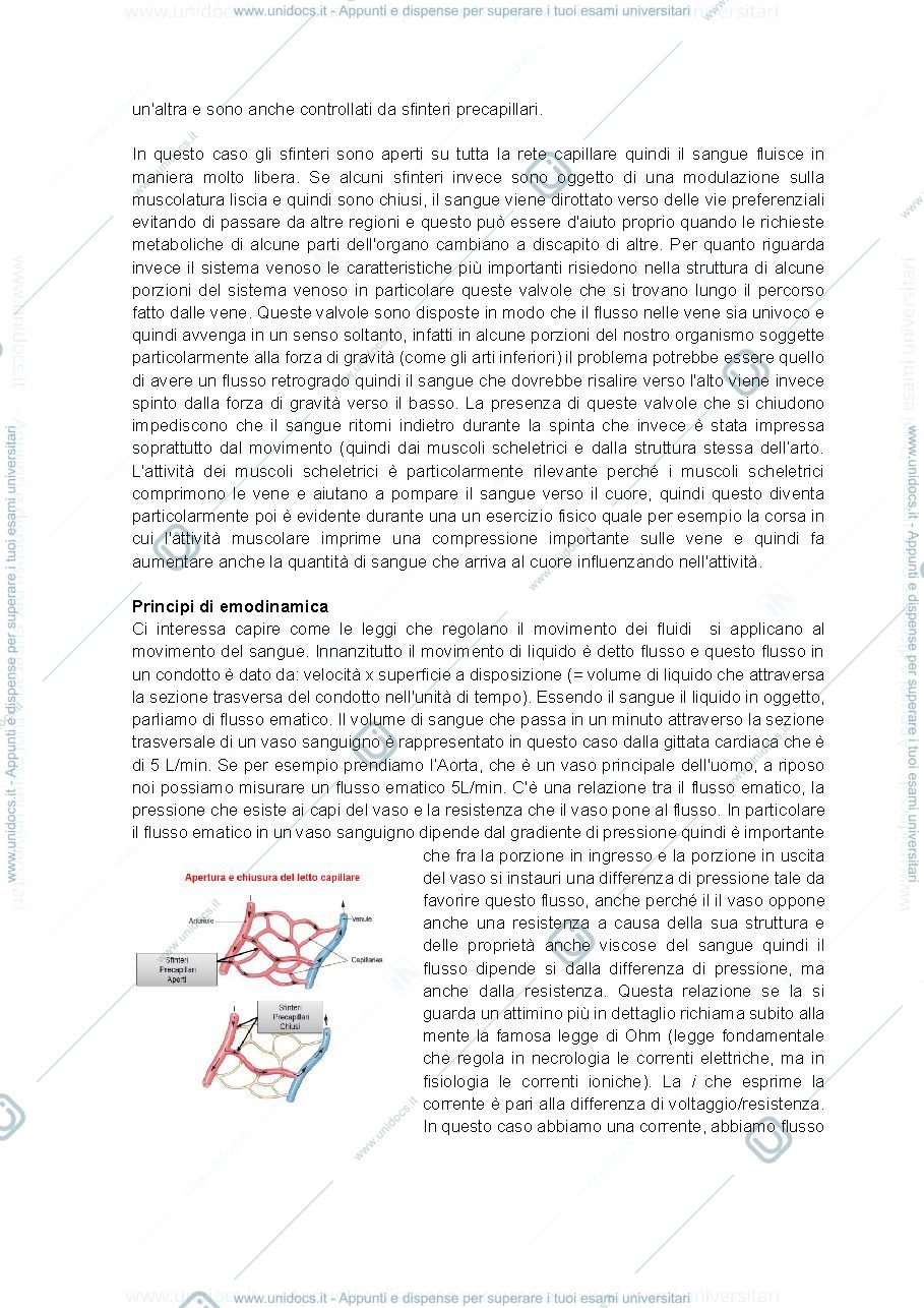 Anteprima pagina 3 — appunti fisio