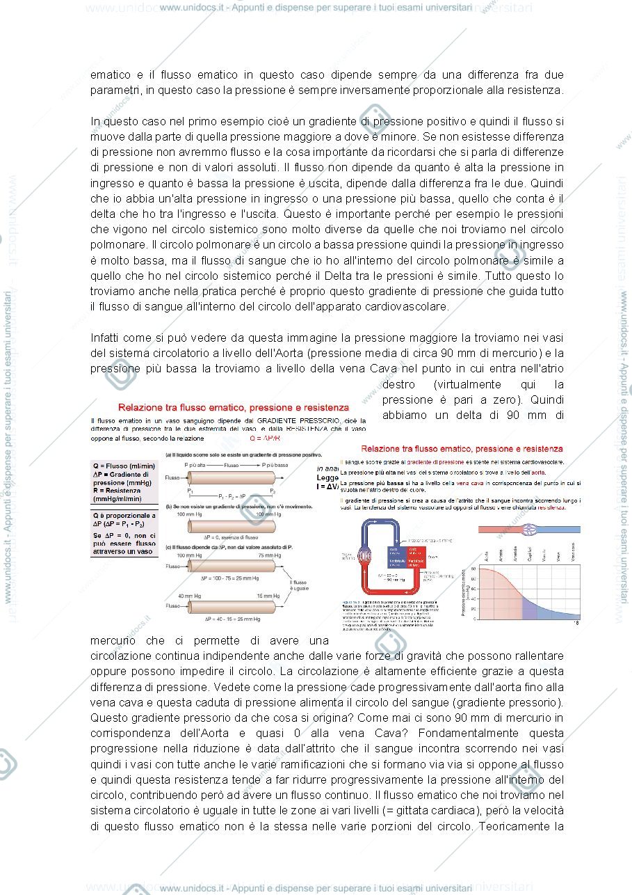 Anteprima pagina 4 — appunti fisio
