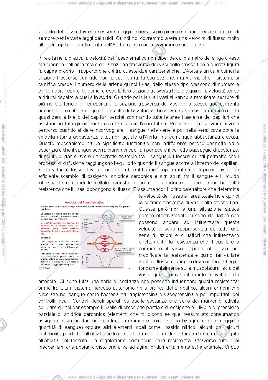 Anteprima pagina 5 — appunti fisio