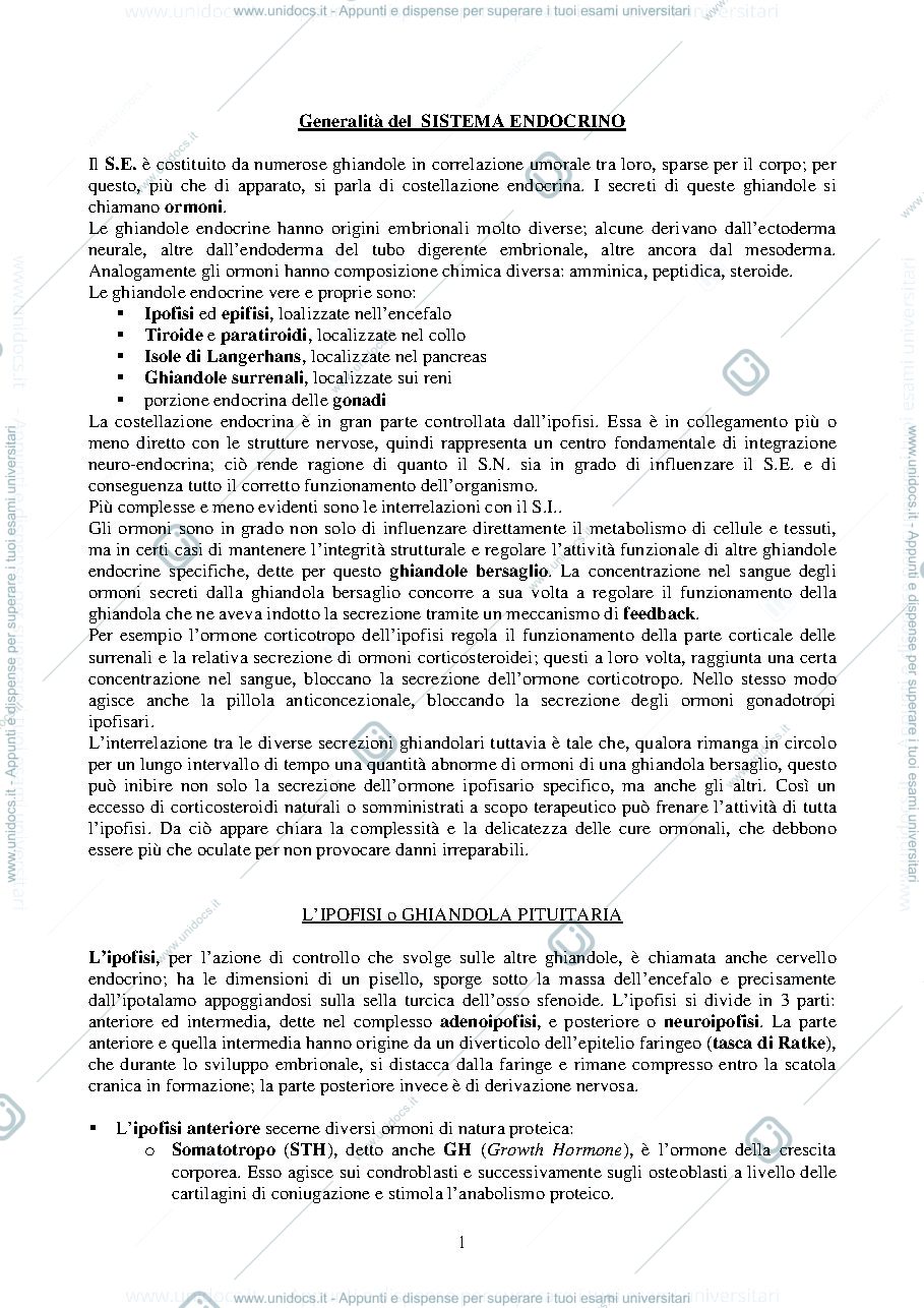 Anteprima pagina 1 — Sistema-endocrino