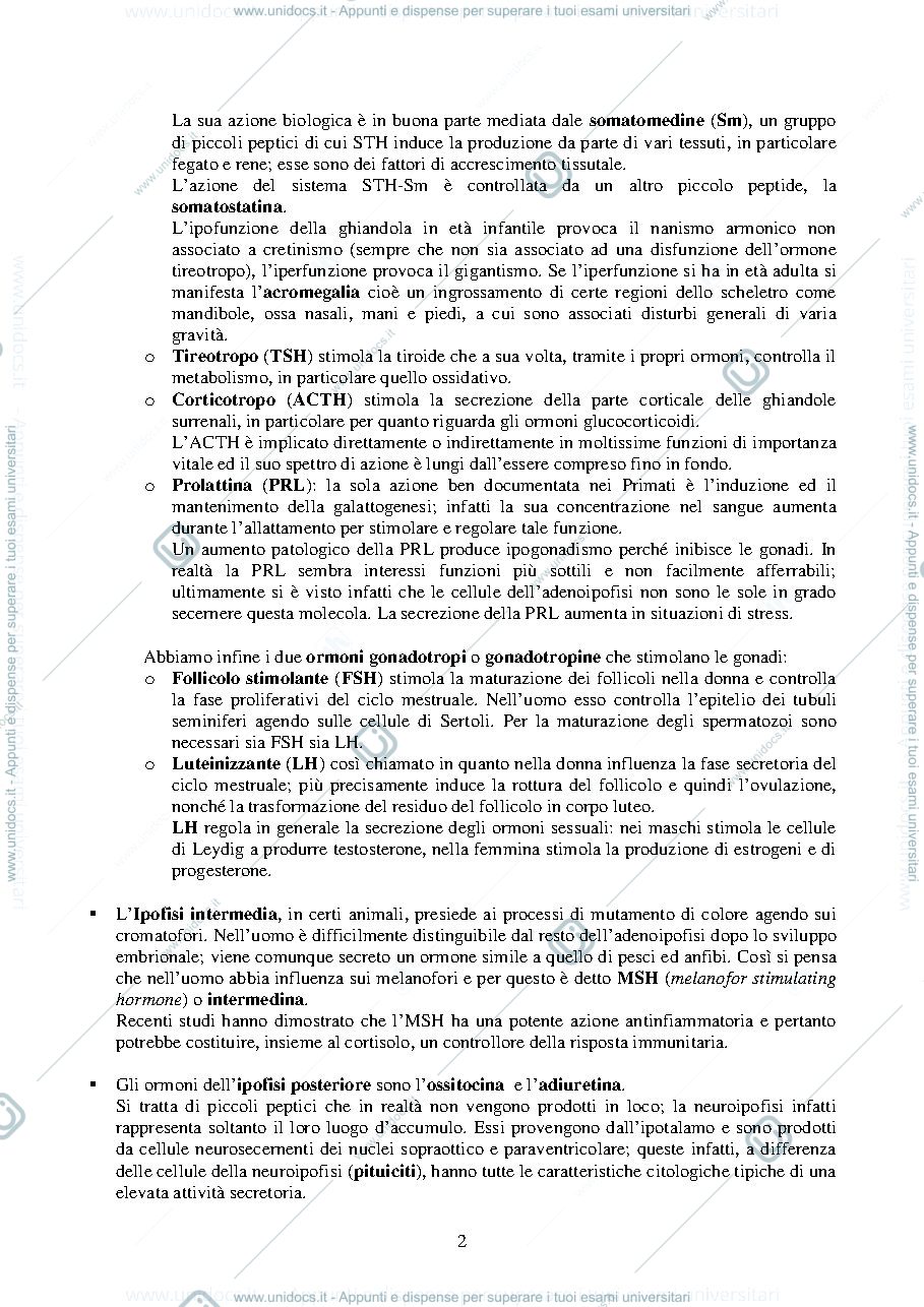 Anteprima pagina 2 — Sistema-endocrino