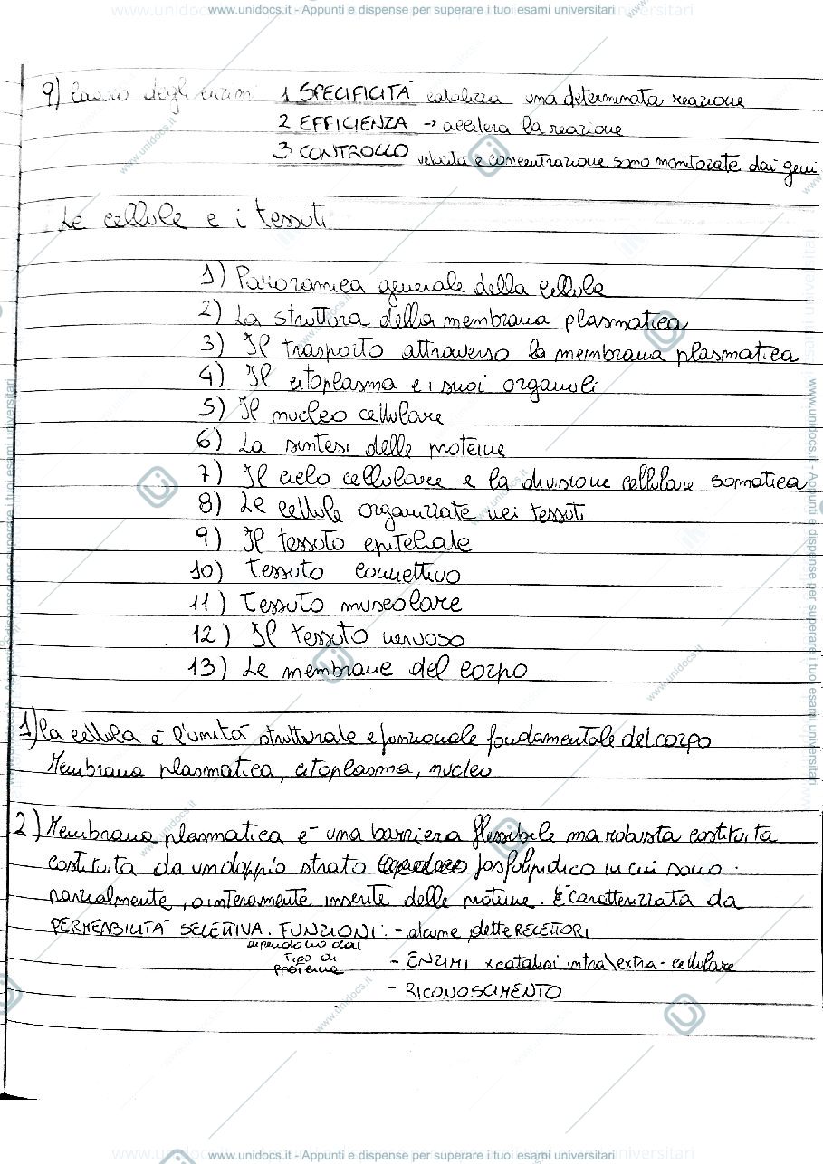 Anteprima pagina 1 — Il corpo umano