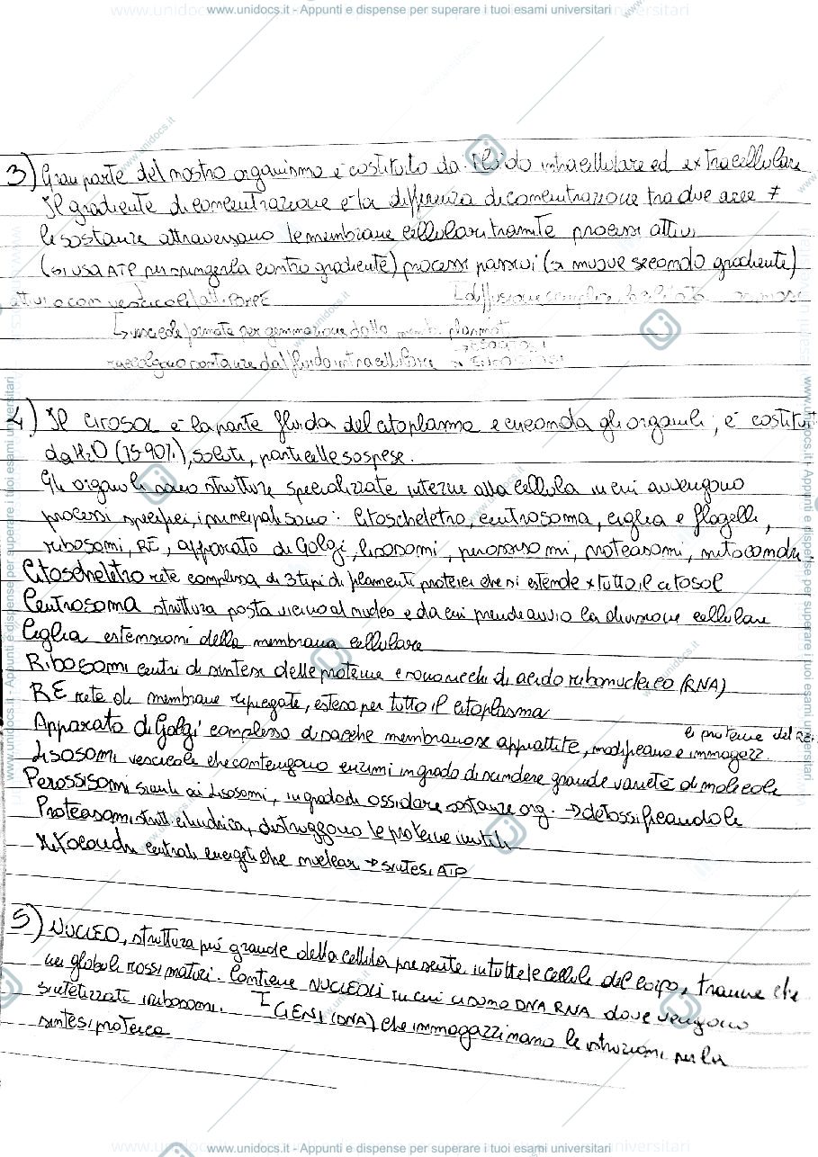 Anteprima pagina 2 — Il corpo umano