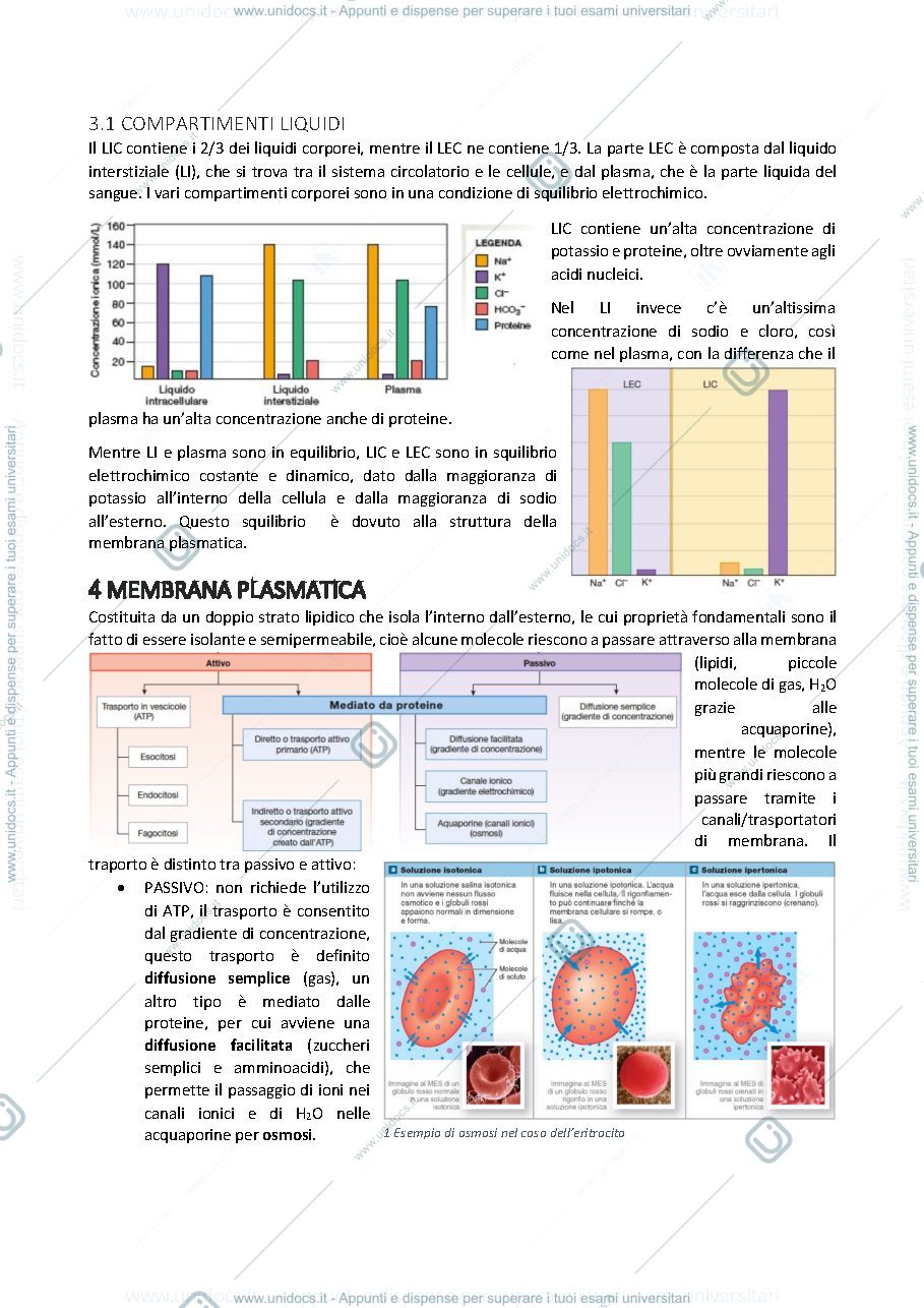 Anteprima pagina 4 — Fisiologia generale