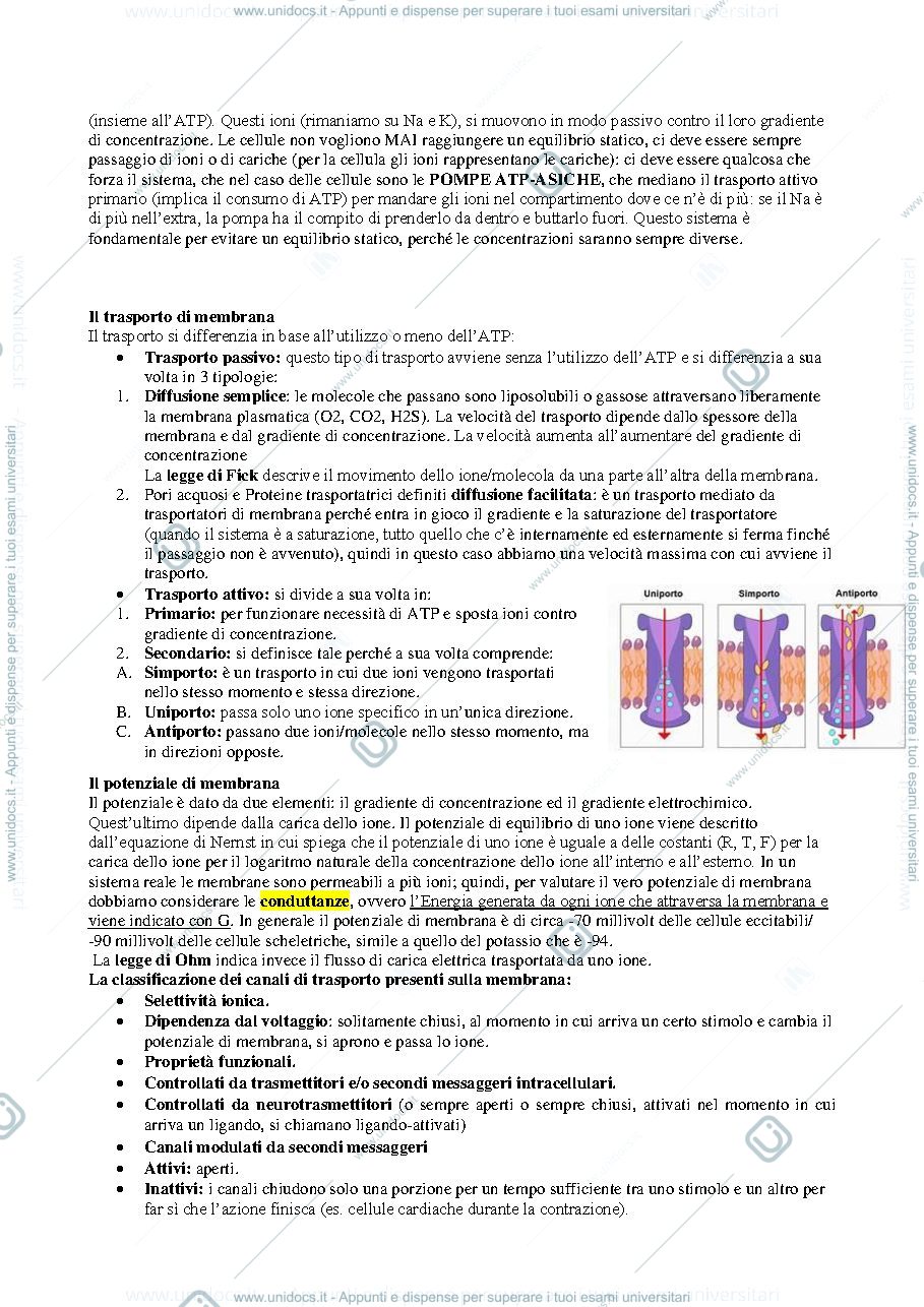 Anteprima pagina 2 — Fisiologia