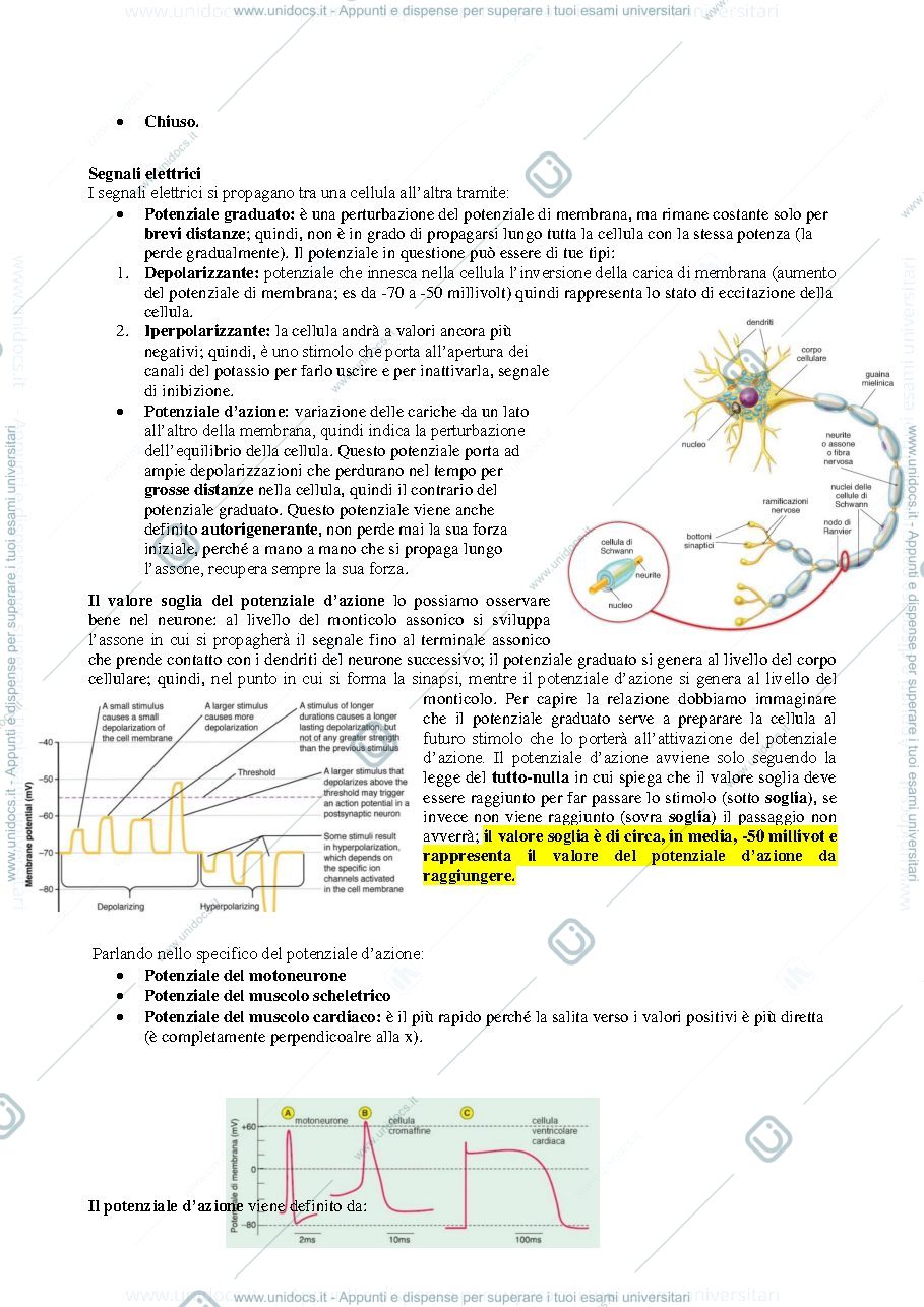 Anteprima pagina 3 — Fisiologia