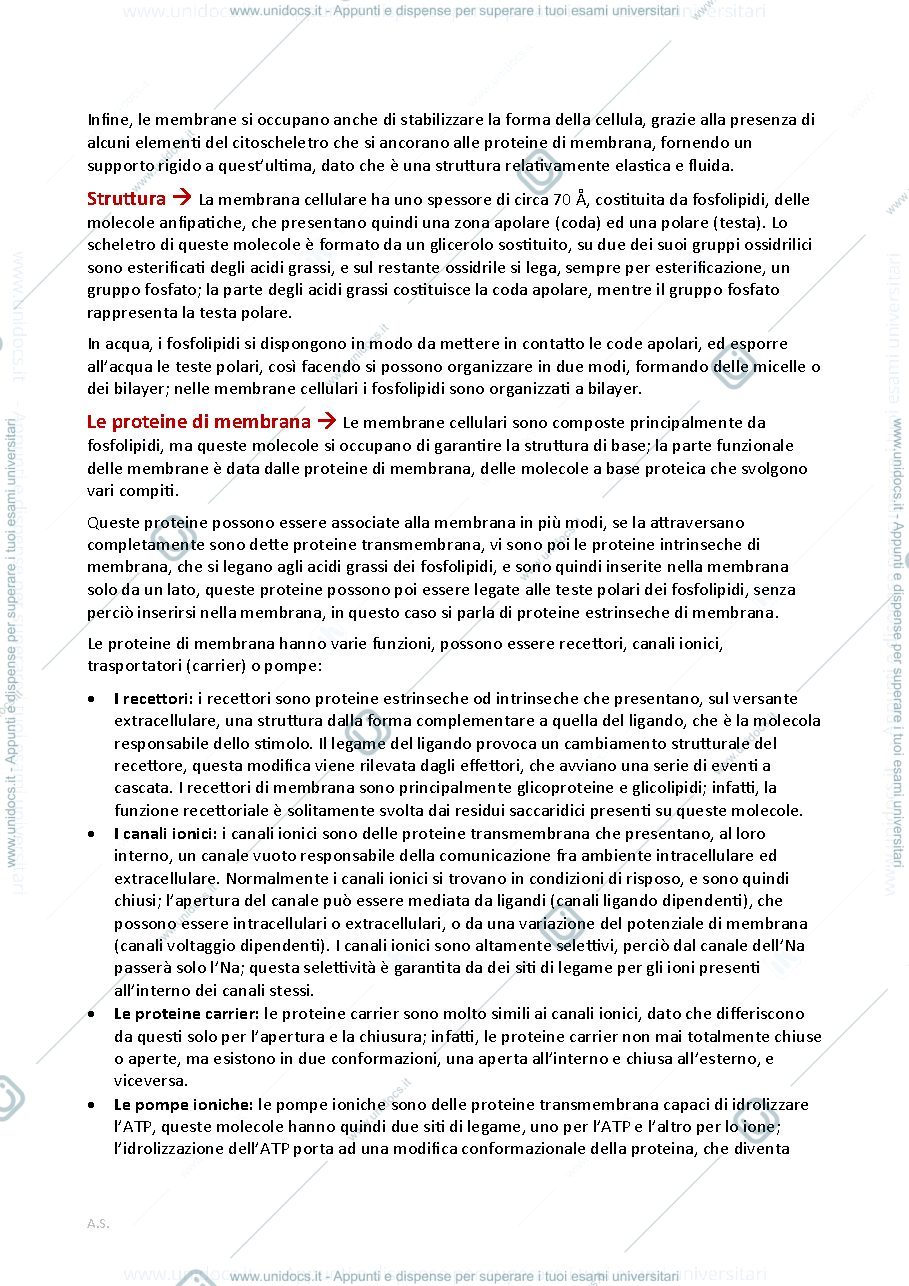 Anteprima pagina 2 — Appunti fisiologia