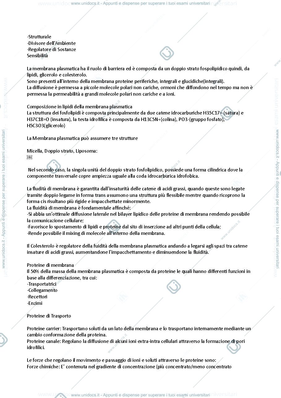Anteprima pagina 2 — Fisiologia - Igiene dentale