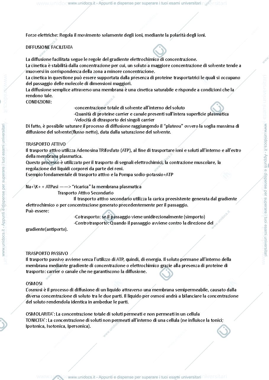 Anteprima pagina 3 — Fisiologia - Igiene dentale