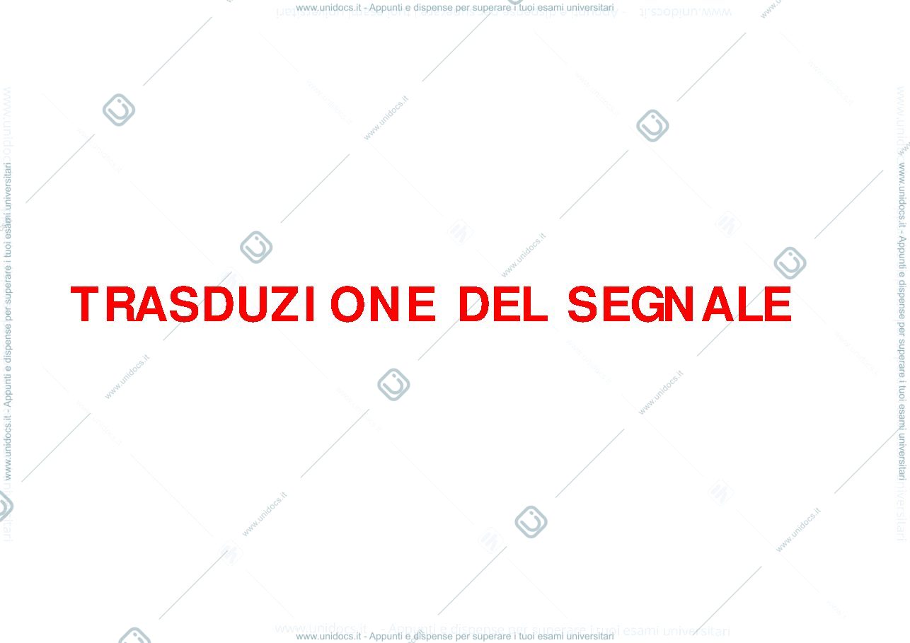 Anteprima pagina 1 — Trasduzione del segnale-