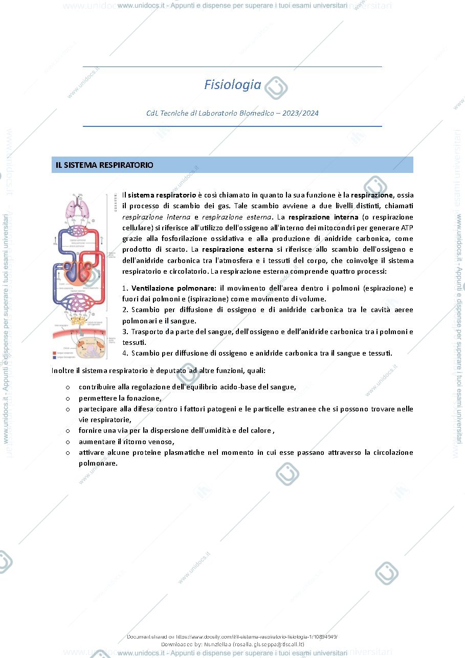 Anteprima pagina 2 — Il Sistema Respiratorio - Fisiologia