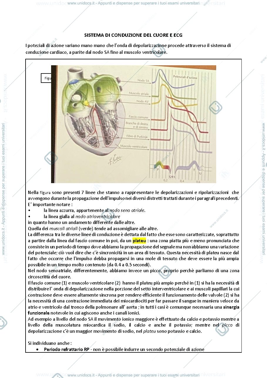 Anteprima pagina 1 — Fisiologia 