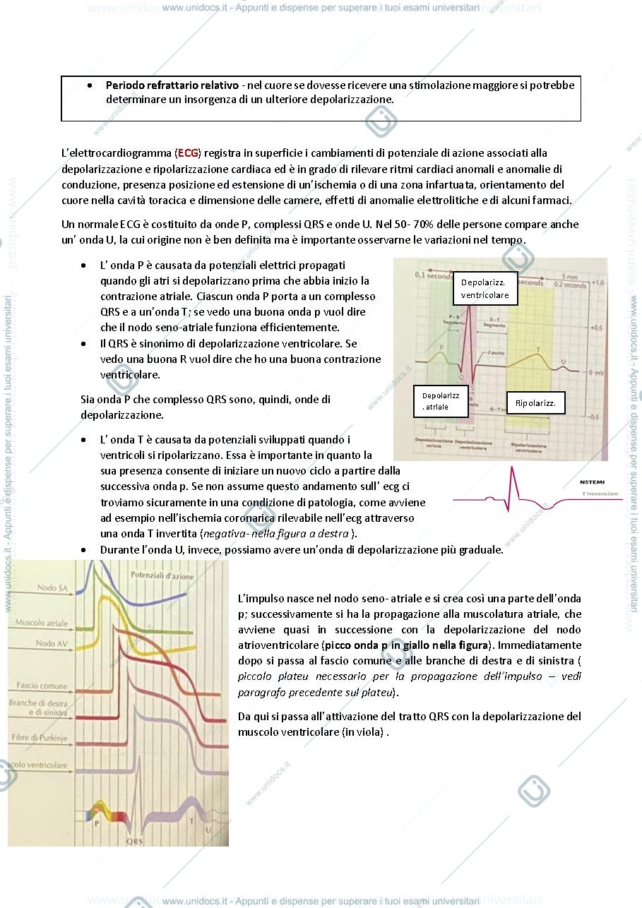 Anteprima pagina 2 — Fisiologia 