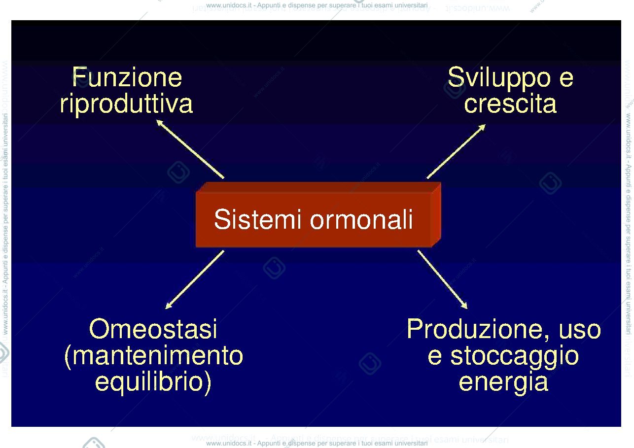 Anteprima pagina 3 — endocrinologia