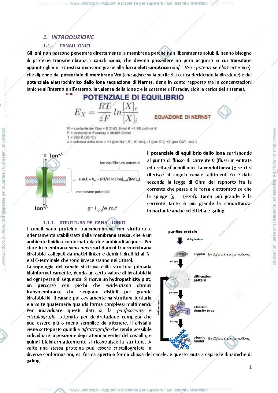 Anteprima pagina 2 — Fisiopatologia cellulare 