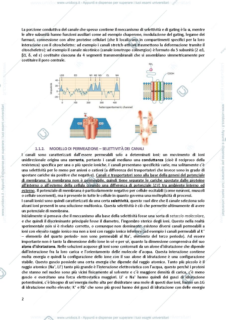 Anteprima pagina 3 — Fisiopatologia cellulare 