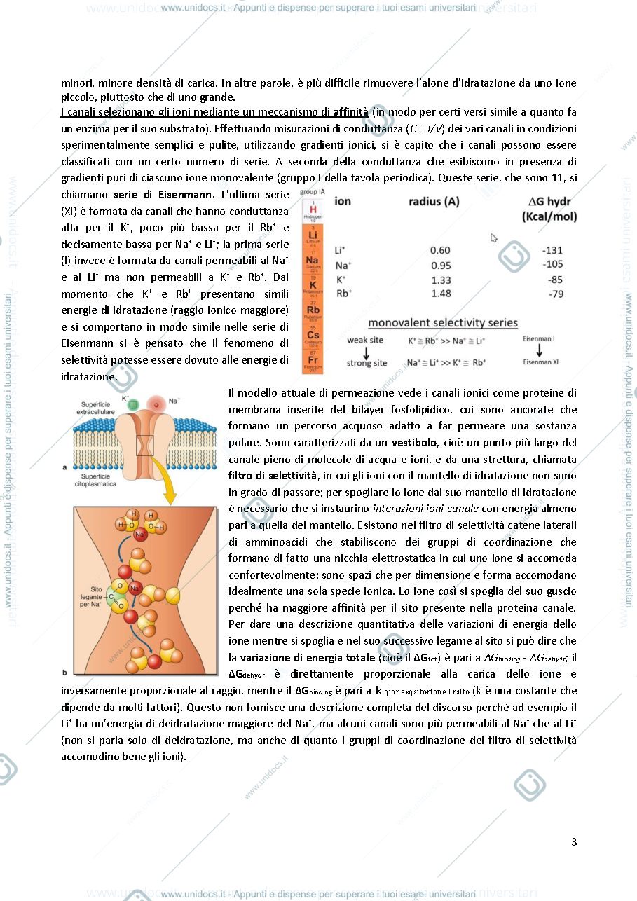 Anteprima pagina 4 — Fisiopatologia cellulare 