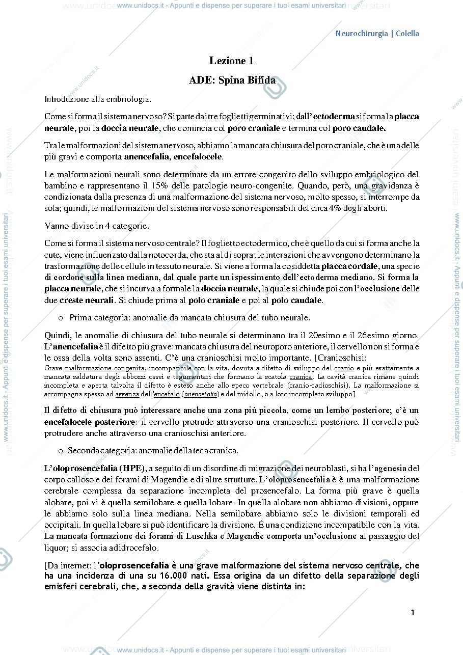 Anteprima pagina 1 — Cenni di neurochirurgia generale 