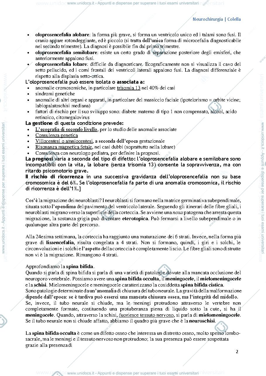 Anteprima pagina 2 — Cenni di neurochirurgia generale 