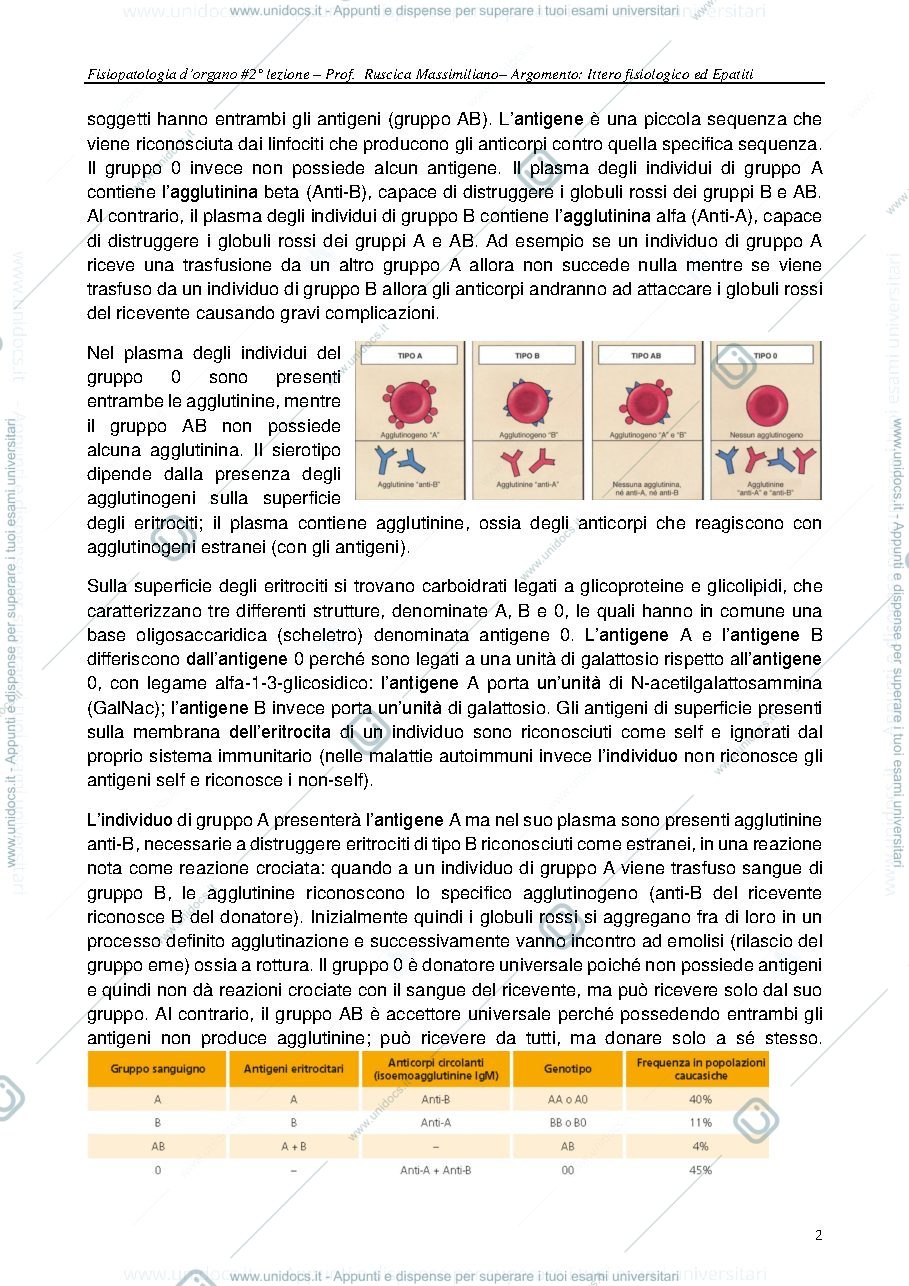 Anteprima pagina 2 — appunti lezione