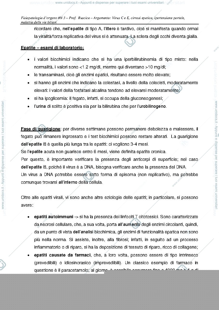 Anteprima pagina 3 — appunti lezione