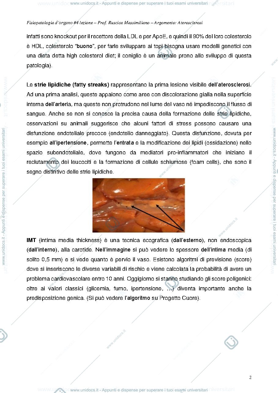 Anteprima pagina 2 — appunti lezione