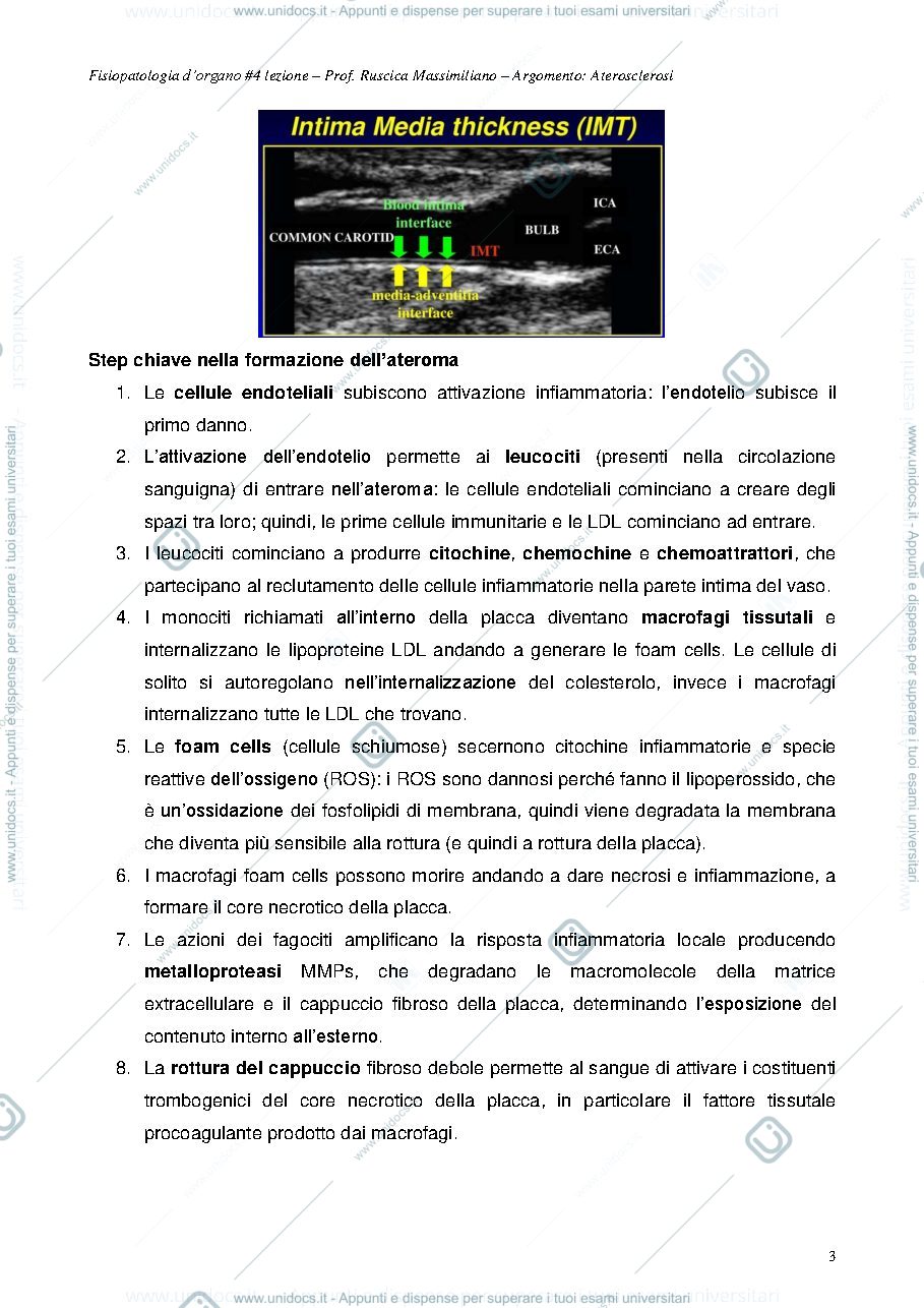 Anteprima pagina 3 — appunti lezione