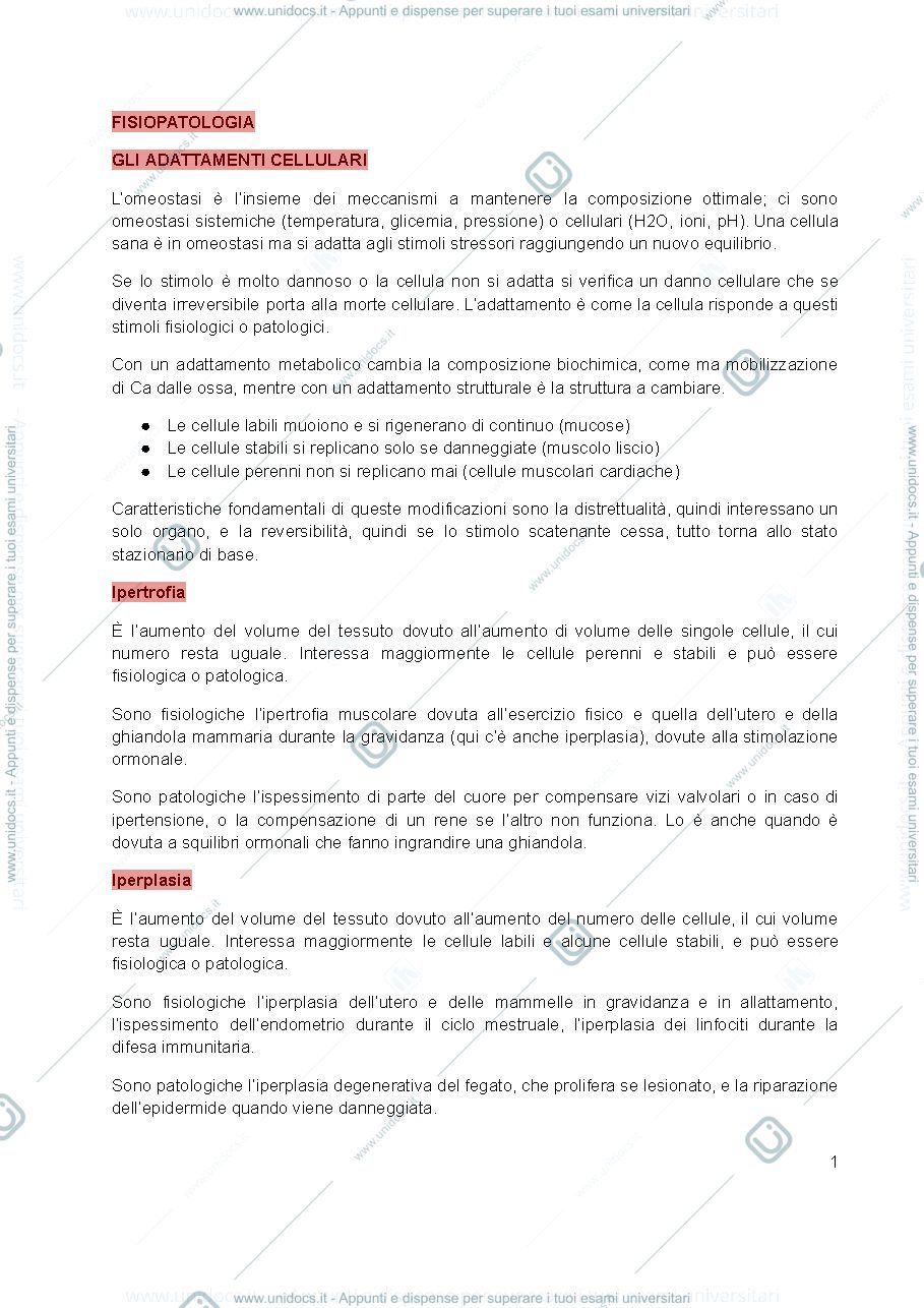 Anteprima pagina 1 — Fisiopatologia