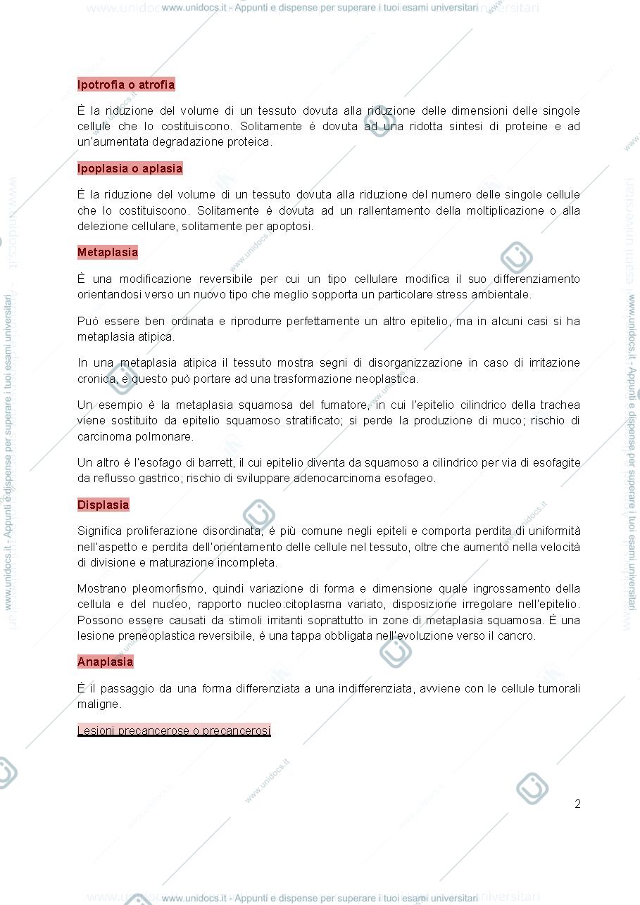 Anteprima pagina 2 — Fisiopatologia