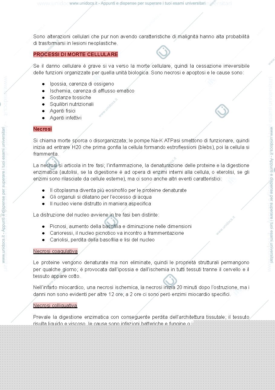 Anteprima pagina 3 — Fisiopatologia