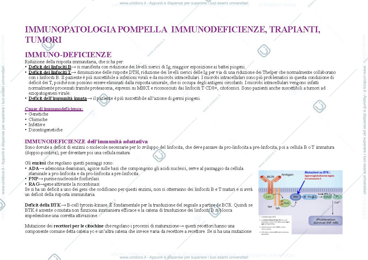 Anteprima pagina 1 — immunopatologia