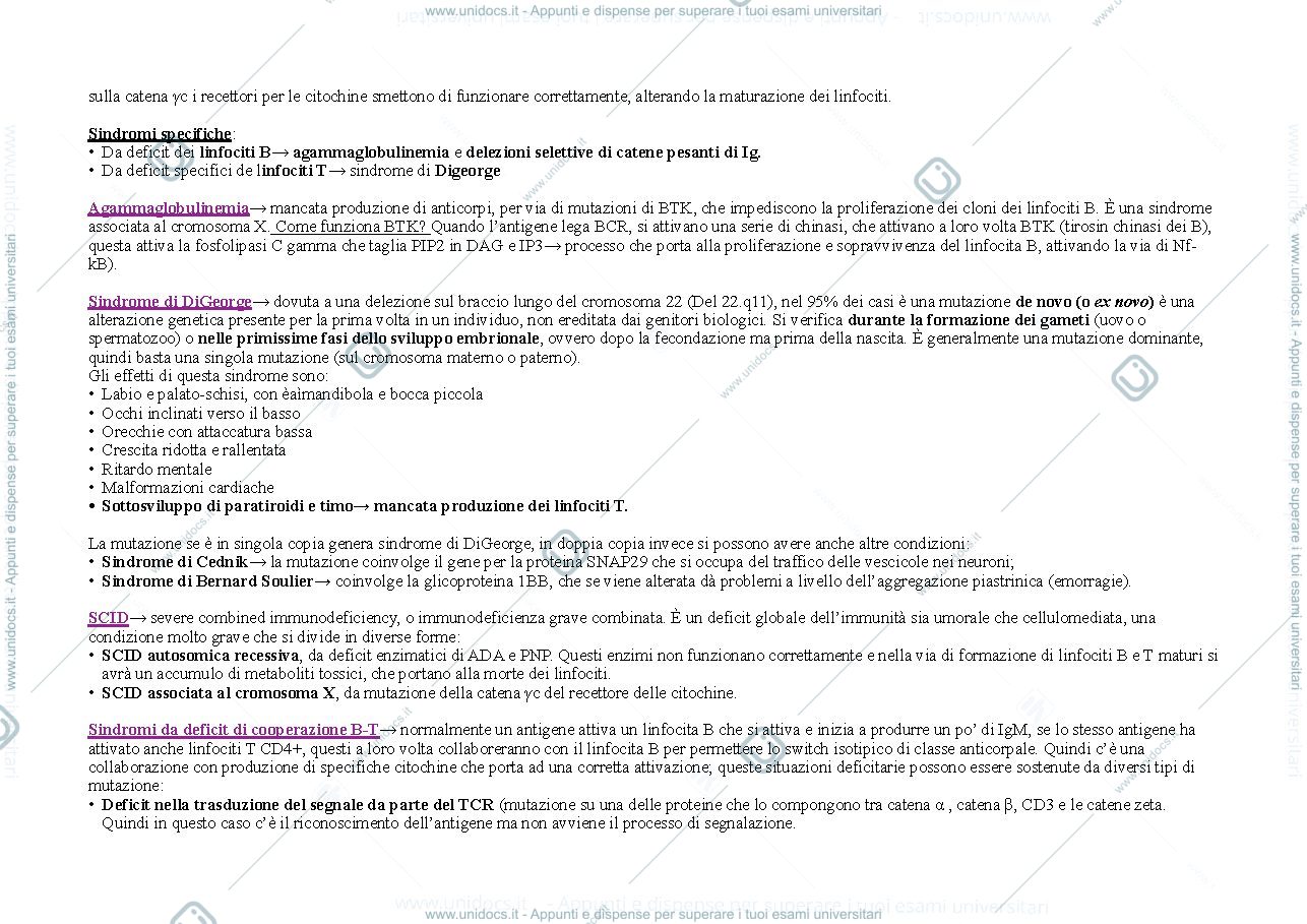 Anteprima pagina 2 — immunopatologia