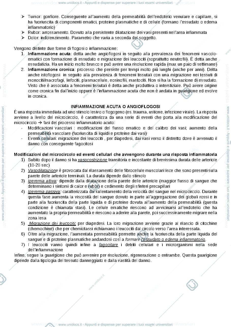 Anteprima pagina 2 — Infiammazione acuta e cronica