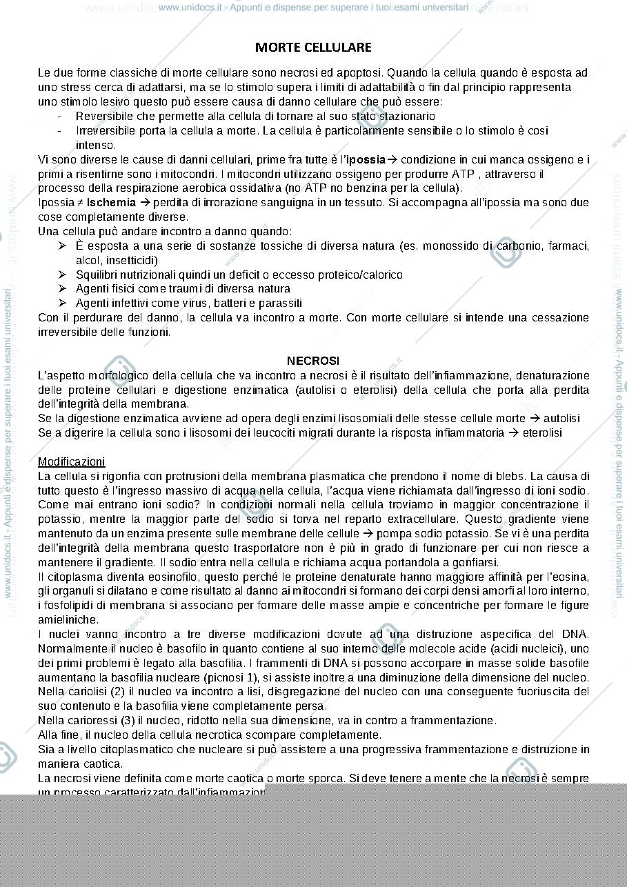 Anteprima pagina 1 — Morte cellulare