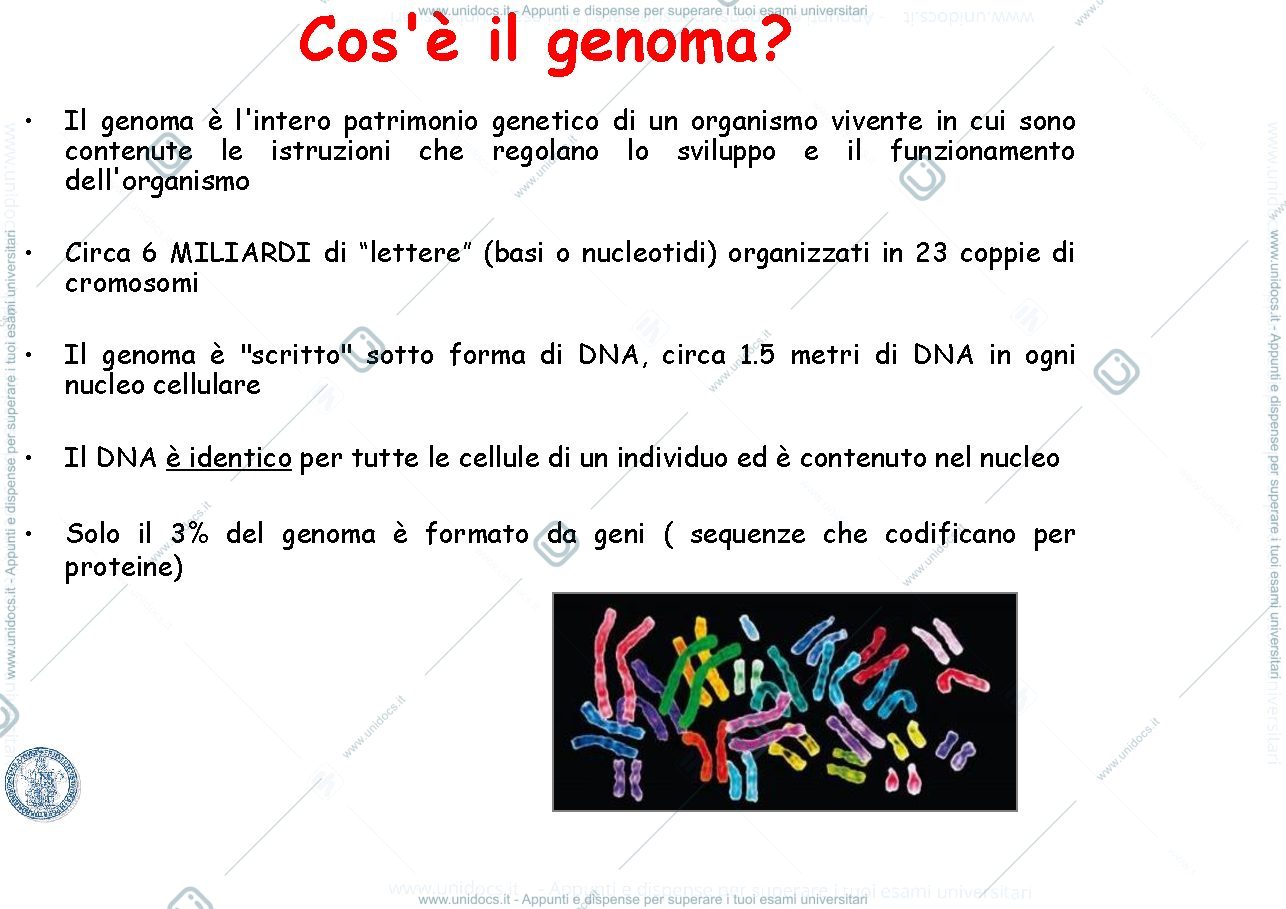 Anteprima pagina 1 — Condorelli slide 2020