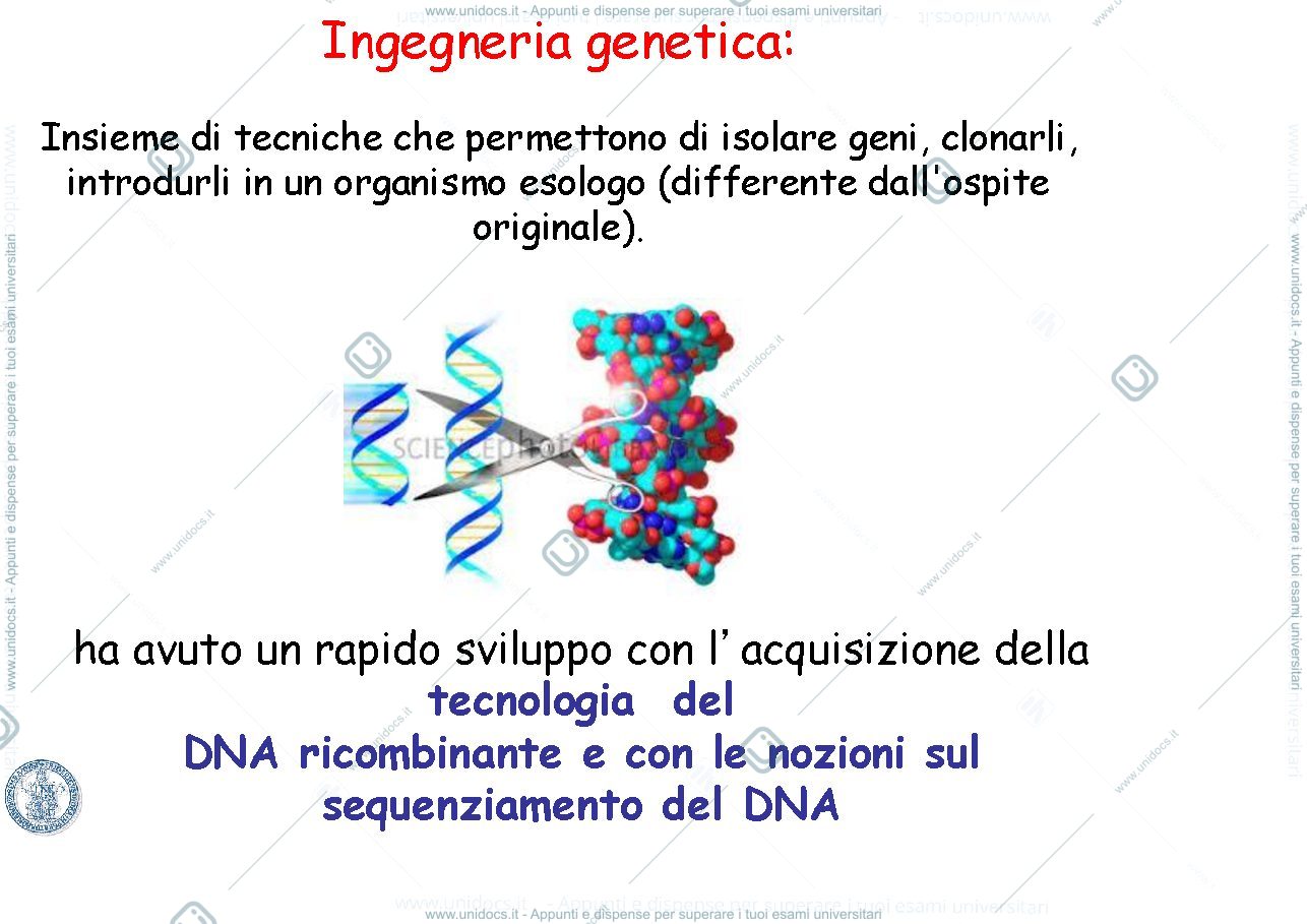 Anteprima pagina 2 — Condorelli slide 2020