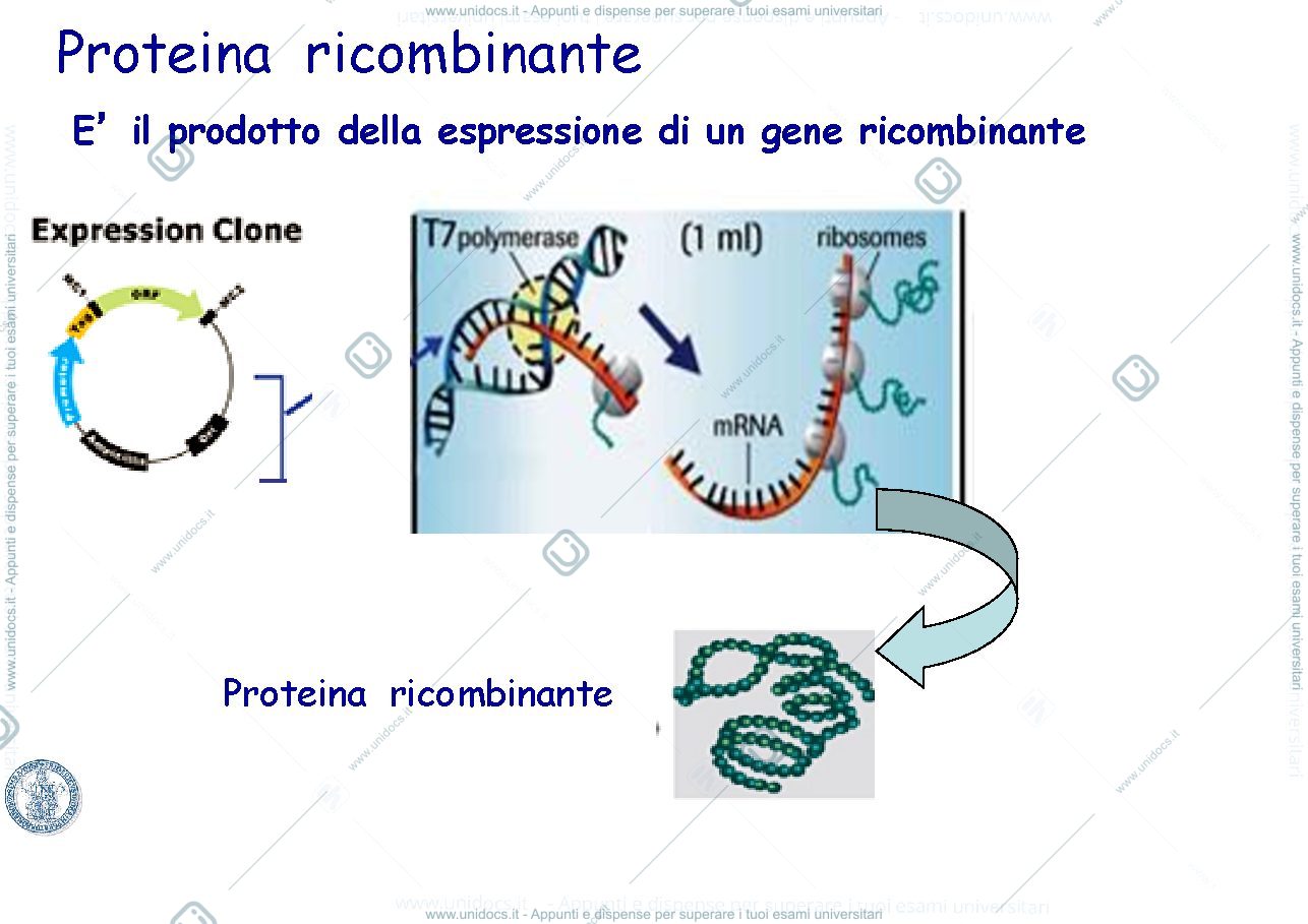 Anteprima pagina 4 — Condorelli slide 2020