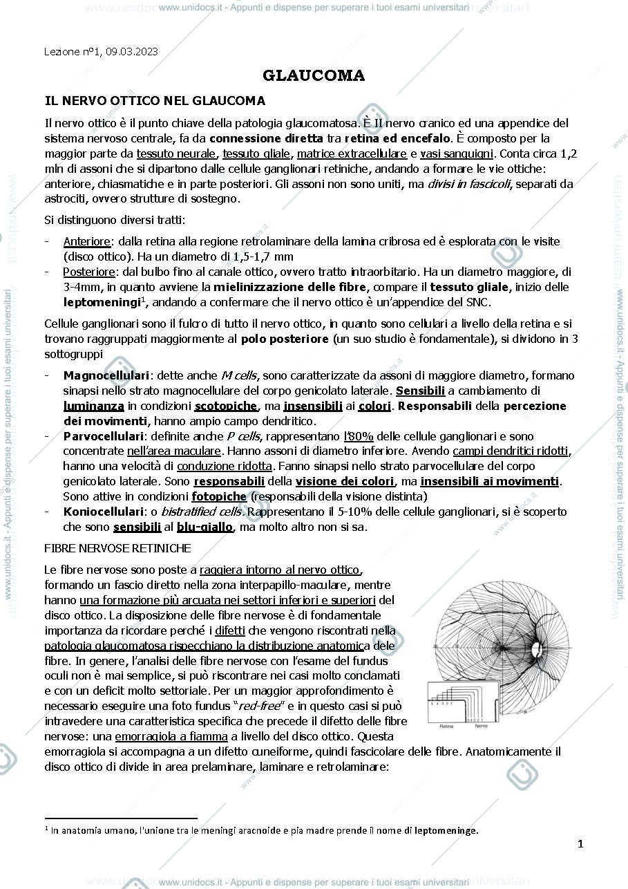 Anteprima pagina 1 — Glaucoma, OCT e CV