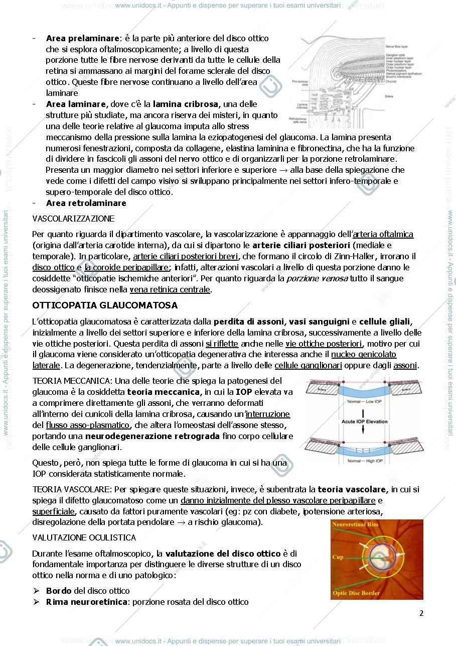 Anteprima pagina 2 — Glaucoma, OCT e CV