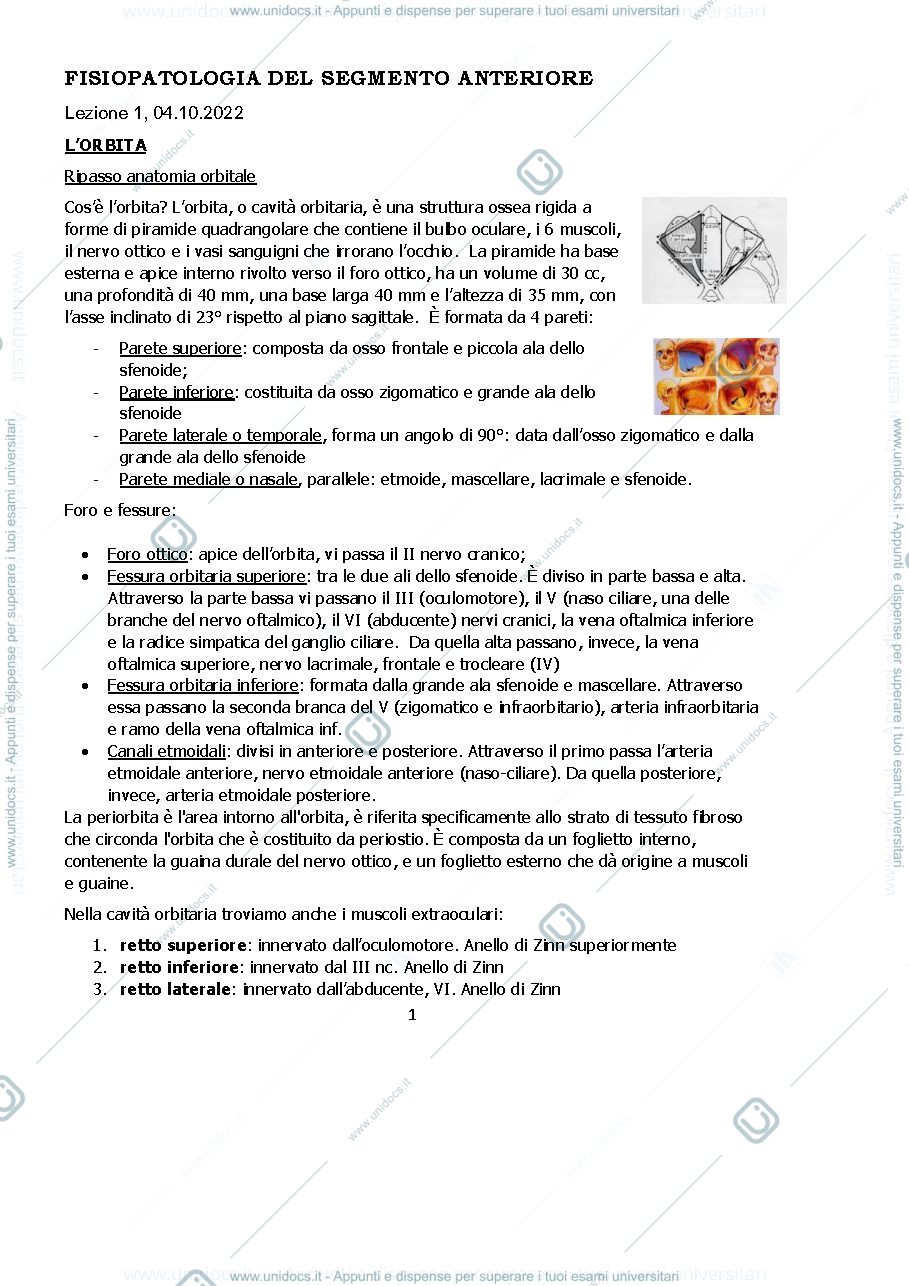 Anteprima pagina 1 — Fisiopatologia del segmento anteriore
