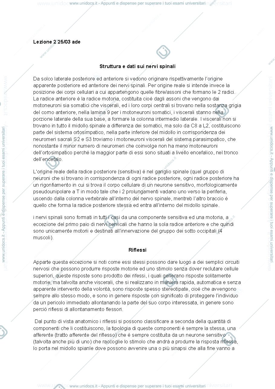 Anteprima pagina 1 — Anatomia del sistema nervoso centrale e periferico lezione 2 