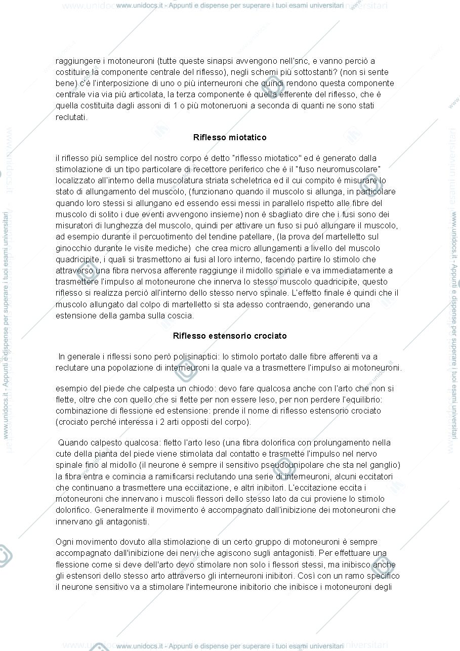 Anteprima pagina 2 — Anatomia del sistema nervoso centrale e periferico lezione 2 