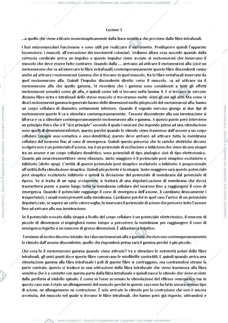 Anteprima pagina 1 — Anatomia del sistema nervoso centrale e periferico Lezione 3