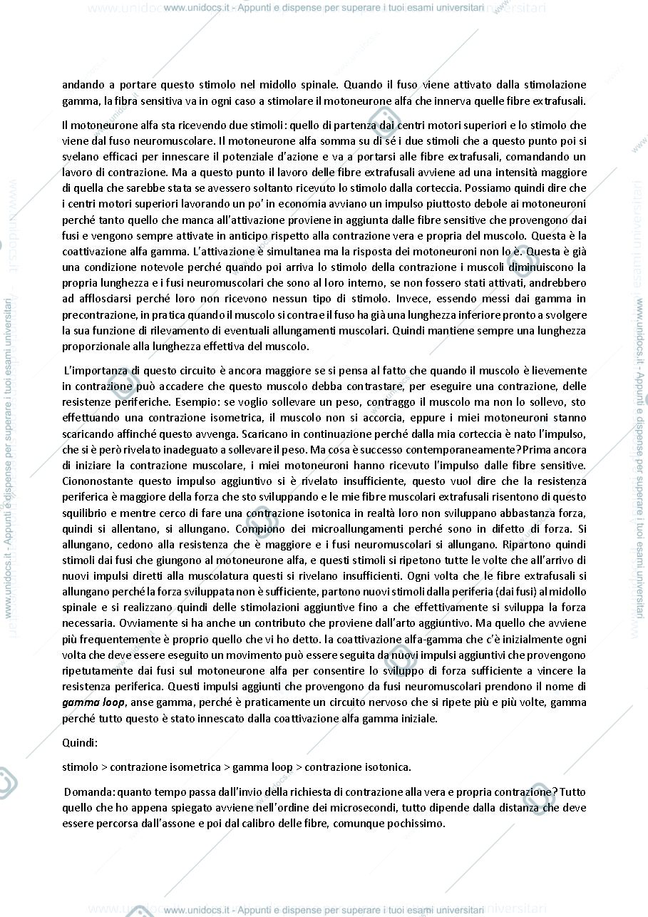 Anteprima pagina 2 — Anatomia del sistema nervoso centrale e periferico Lezione 3