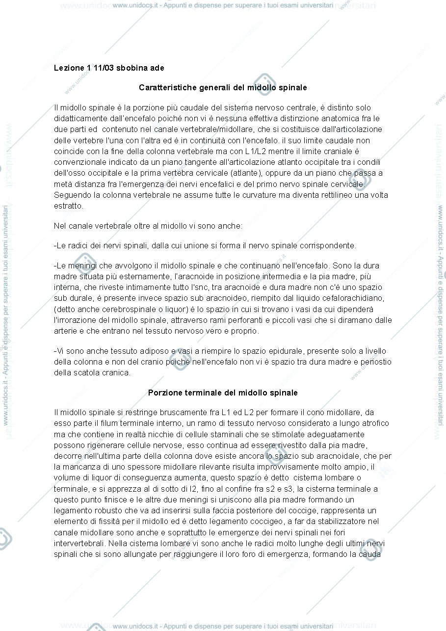 Anteprima pagina 1 — Anatomia del sistema nervoso centrale e periferico lezione 1 