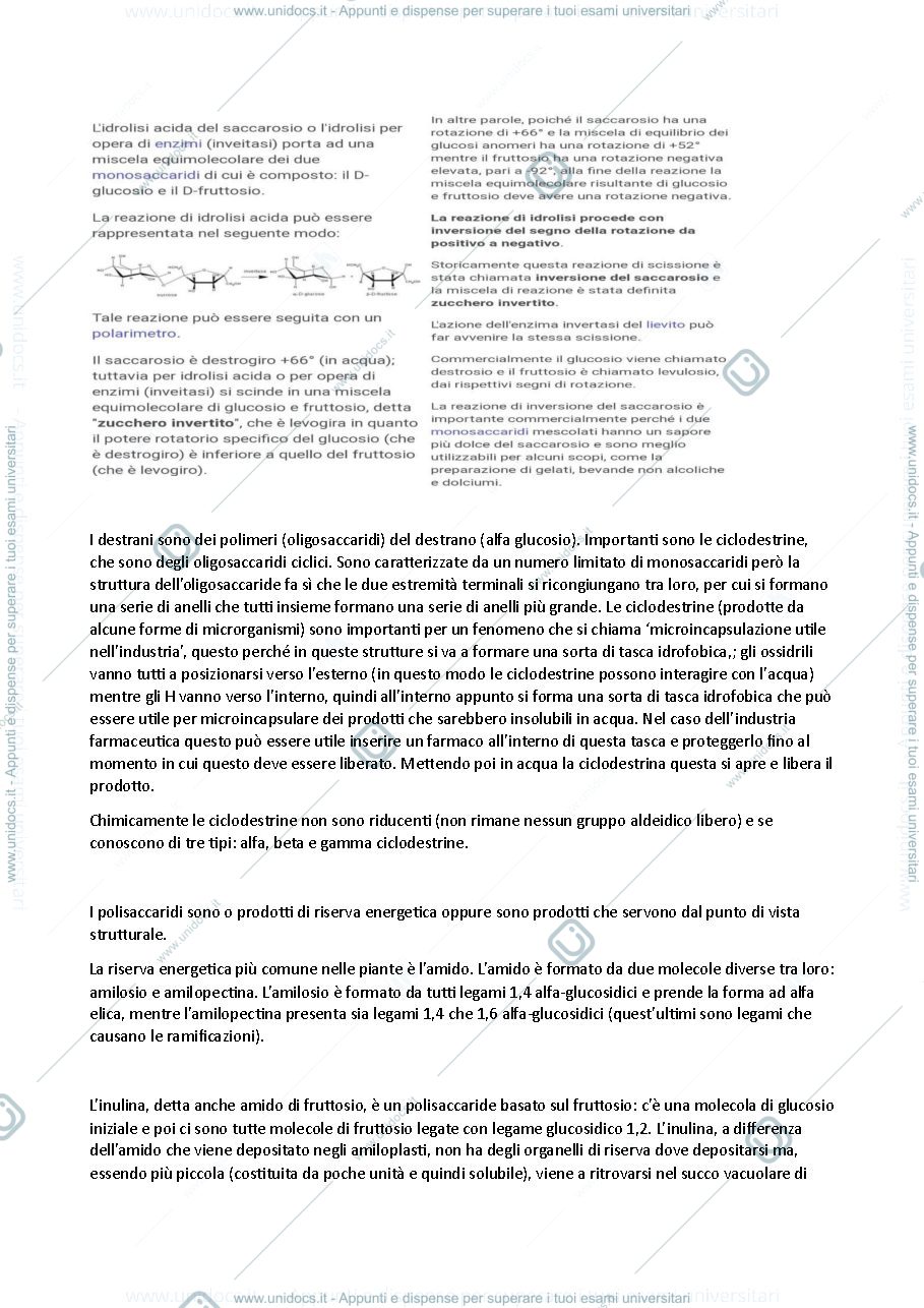 Anteprima pagina 4 — Fitochimica appunti completi 