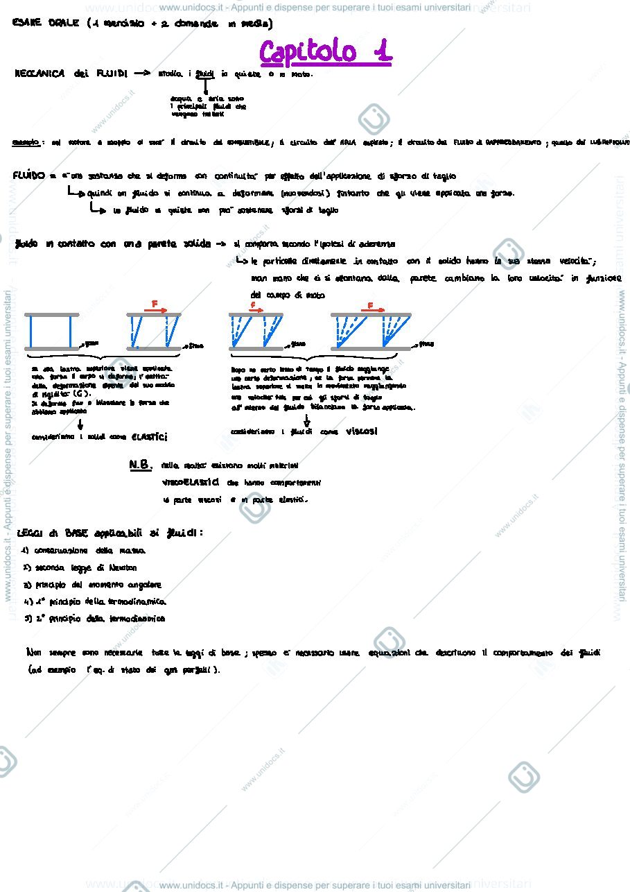 Anteprima pagina 1 — appunti fluidodinamica