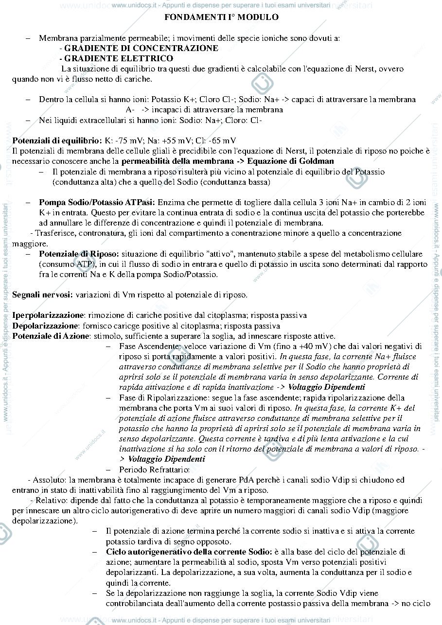 Anteprima pagina 1 — Riassunto I° Modulo Fondamenti Anantomo-fisiologici dell'attività psichica